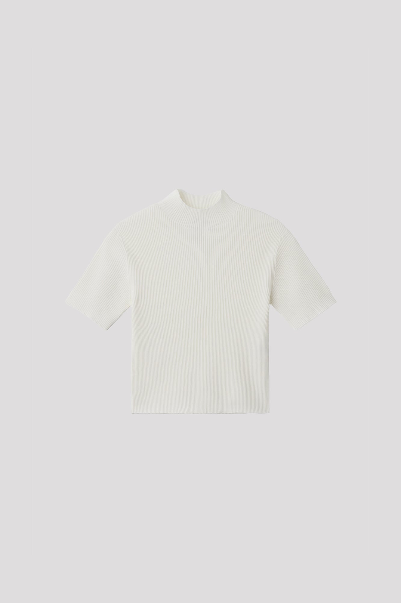 PORTRAIT MOCKNECK SHORT SLEEVE TOP