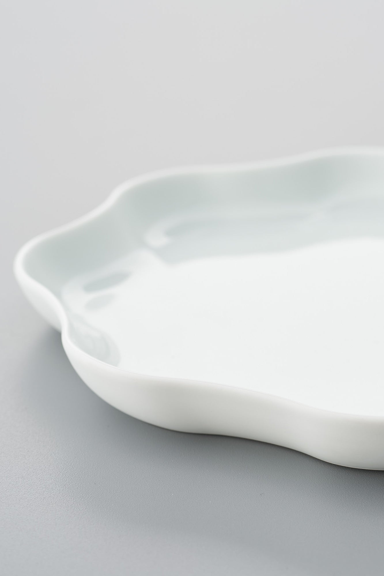 PORCELAIN POTTERY PLATE MEDIUM