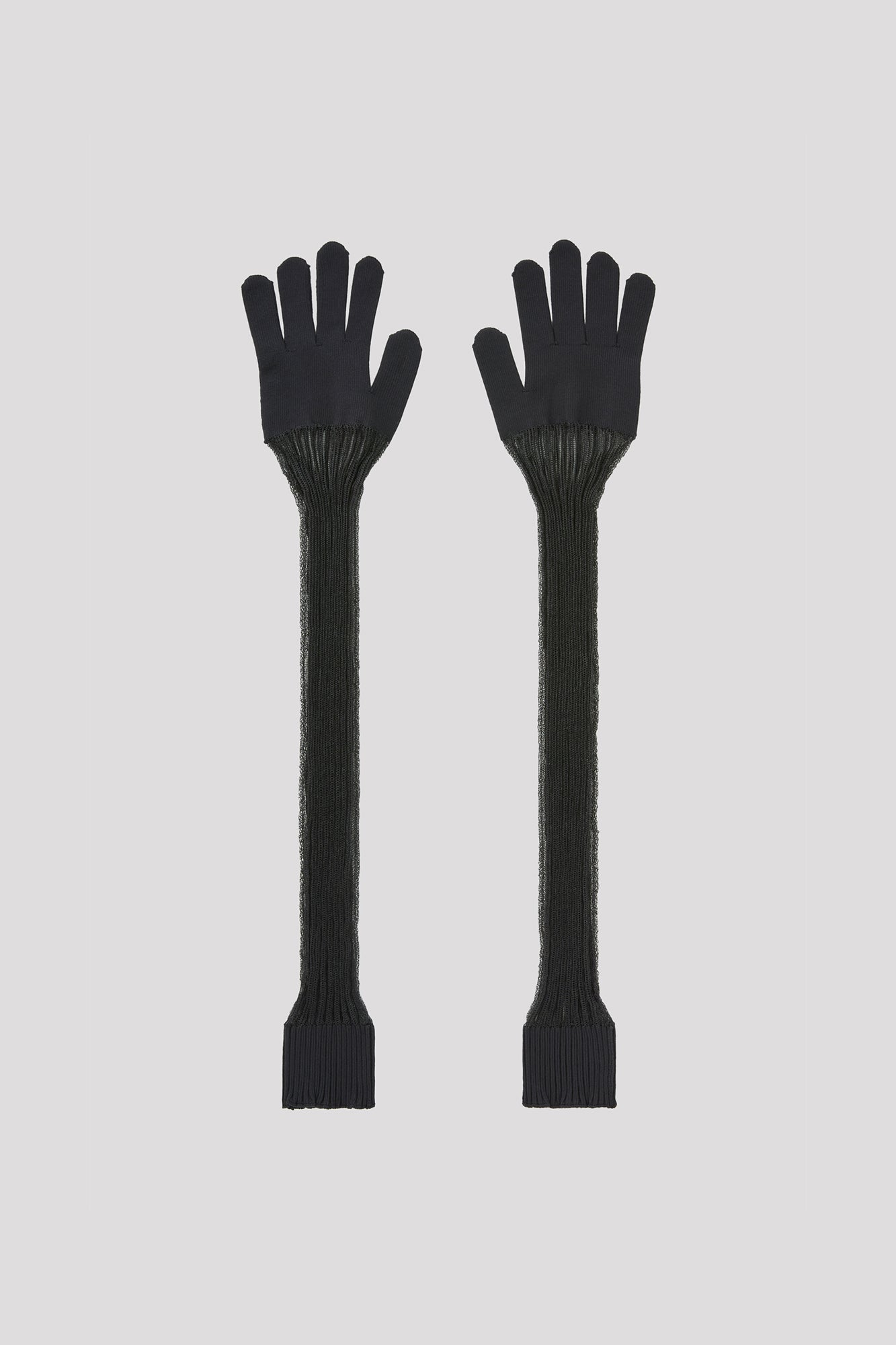 LUCENT LONG GLOVES