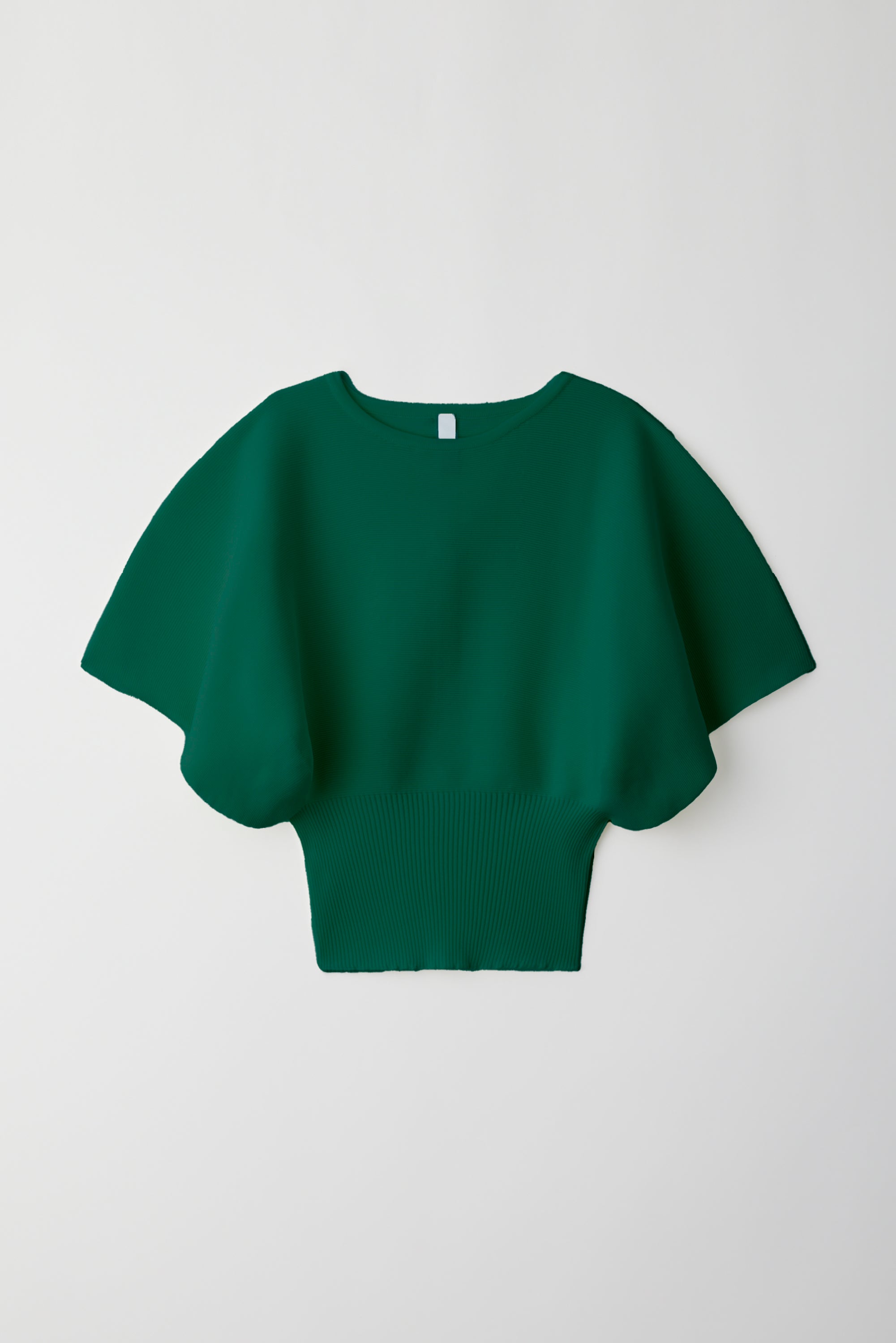 #色_PINE GREEN